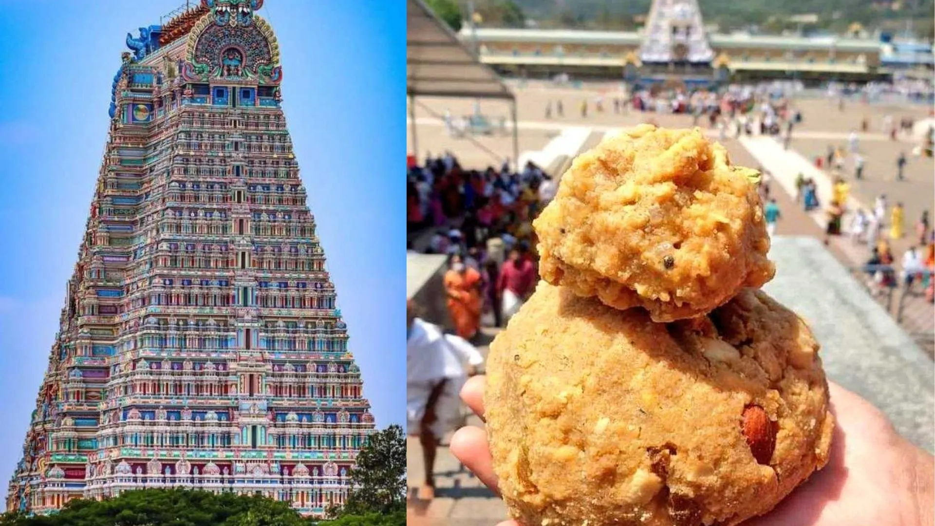 Tirupati Laddu Controversy